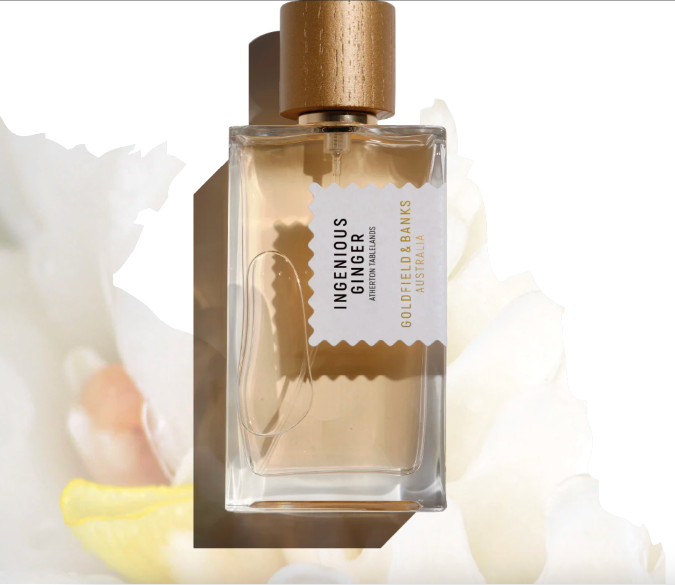 Goldfield & Banks Ingenious Ginger